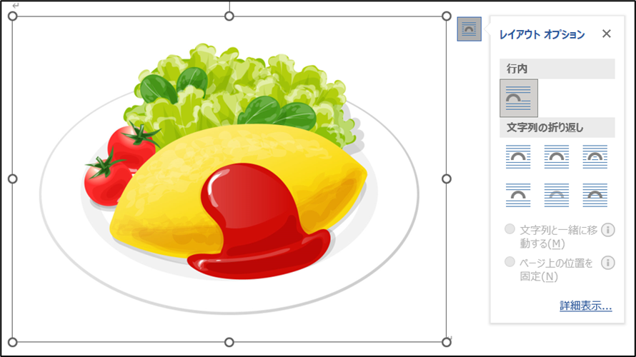 レイアウトオプションのボタンの中身を説明している画像