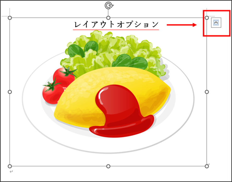 レイアウトオプションのボタンの場所を説明してる画像